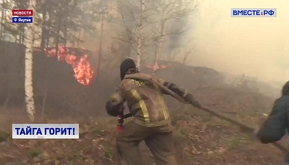 В Якутии площадь лесных пожаров увеличилась в 30 раз