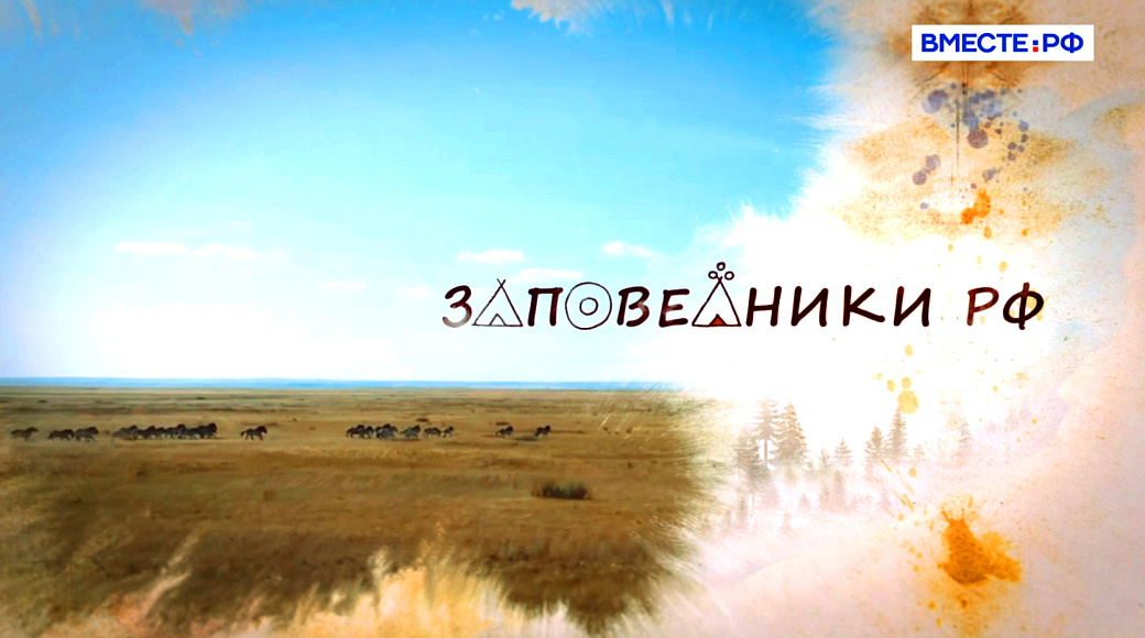 Local video