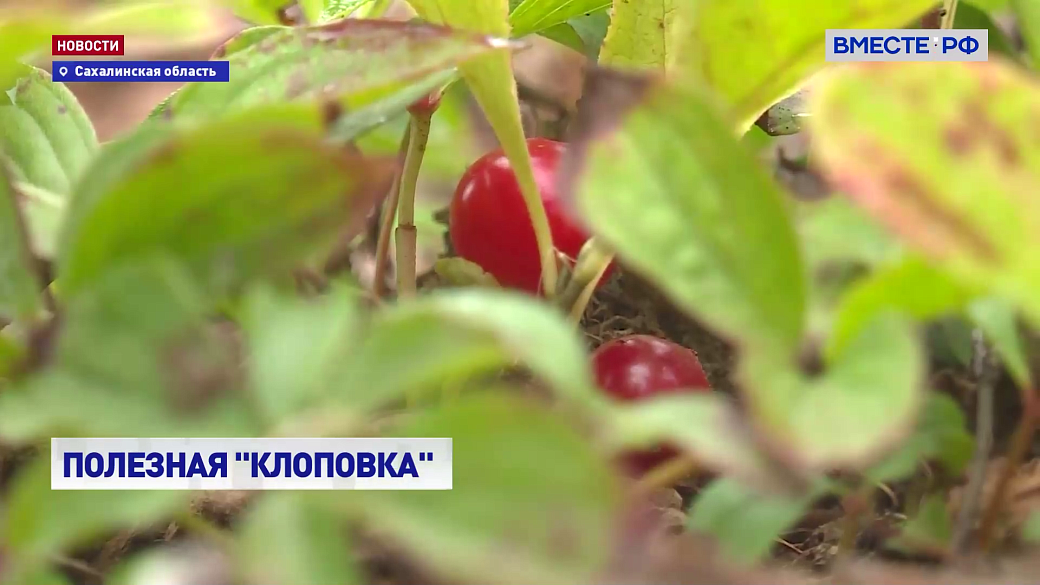 Local video
