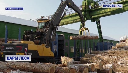 Санкции помогли развитию деревянного домостроения в Хабаровском крае