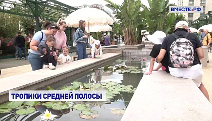 «Тропики» у Кремля привлекли тысячи жителей и гостей Москвы