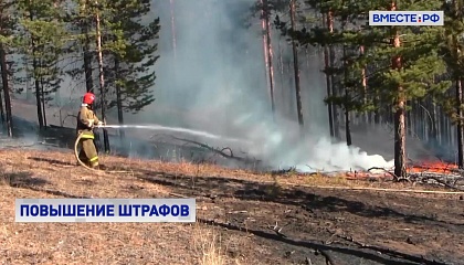 Штрафы за нарушение правил пожарной безопасности в лесах повысят до 2 млн руб
