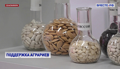 Минсельхоз предложил субсидии на озимый сев под урожай 2027 года