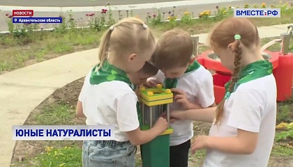 В Архангельской области в одном из детских садов открыли гринпарк