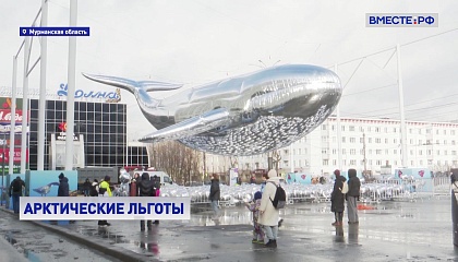 Инвестклимат в Арктической зоне должен быть комфортным для создания новых проектов, считают в СФ