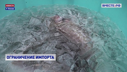 Россия ограничила импорт рыбы и морепродуктов из Японии