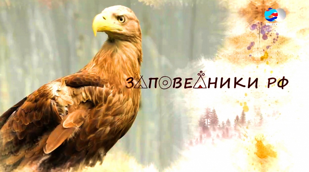 Local video
