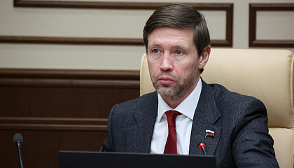 Сенатор Шейкин: рынок IT переживает структурную перестройку