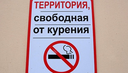 Сенатор Пушкарев назвал ключ к снижению курения