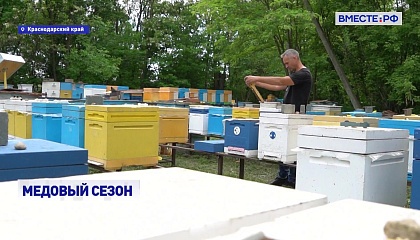 Кубань не планирует снижать объем производства меда