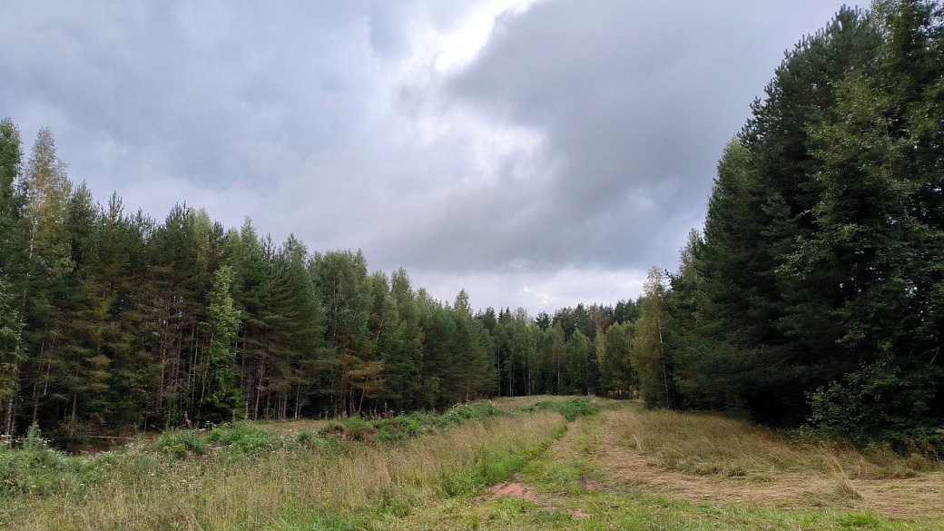 Maksim Konstantinov/Global Look Press