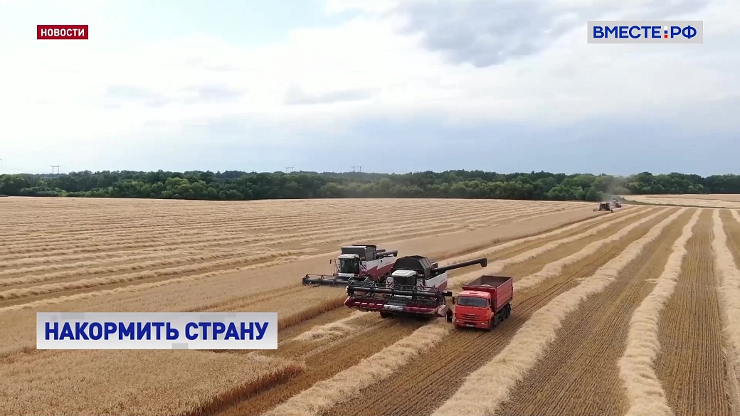 Local video