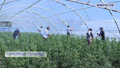 РЕПОРТАЖ: Семейная теплица  