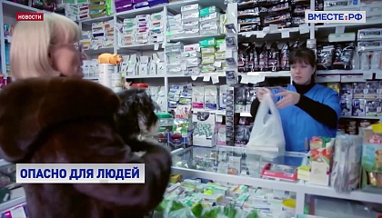 Россельхознадзор предложил ввести рецептурный отпуск отдельных ветеринарных препаратов