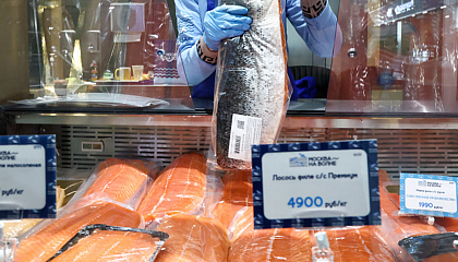 Дальний Восток бьёт рекорды: добыча лосося превысила 335 тысяч тонн