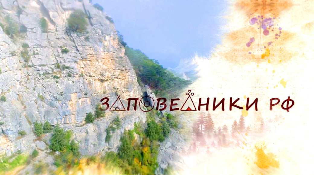 Local video