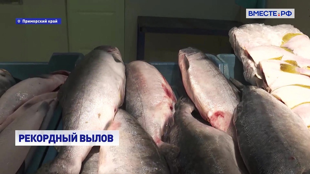 Local video