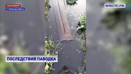 В Тюмени дачники подсчитывают ущерб от затяжного паводка