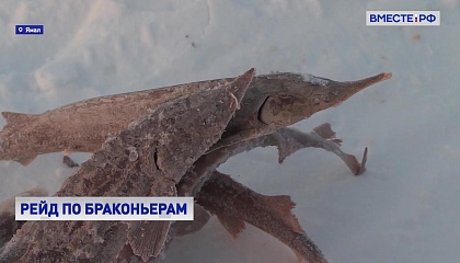 РЕПОРТАЖ: рейд по выявлению браконьеров в акватории Обской губы на Ямале 