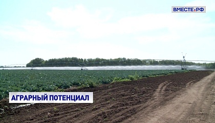 Применение химикатов в сельском хозяйстве нужно законодательно регулировать, считает сенатор Двойных