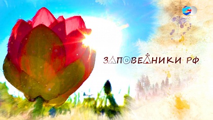 Тайны Астраханского заповедника. Цветок Будды