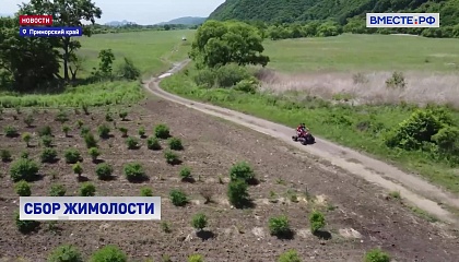 РЕПОРТАЖ: Золотая долина Приморья