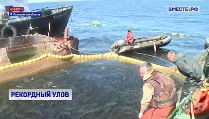 Рыболовецкие артели Дальнего Востока идут на новый рекорд