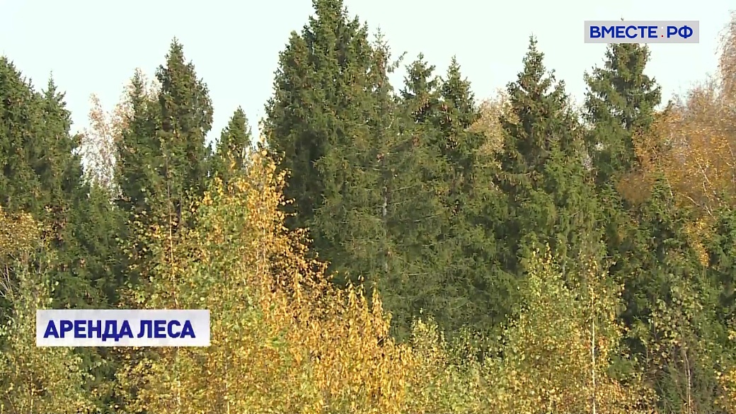 Local video