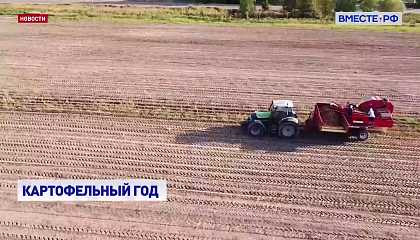 Россия отказалась от грузинского картофеля и сократила ввоз китайского