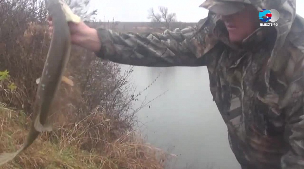 Local video