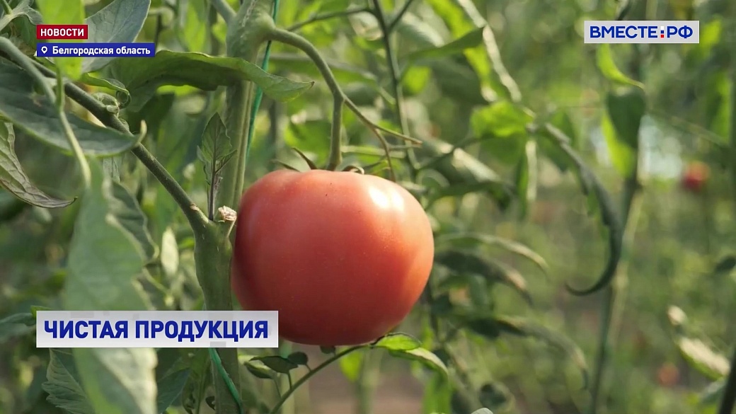 Local video