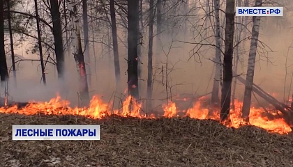Сенатор Абрамов: для профилактики лесных пожаров необходимо больше профессиональных кадров