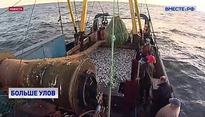 Вылов рыбы в этом году в России может возрасти до 5 миллионов тонн