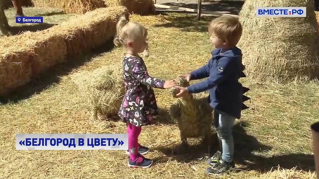 Local video