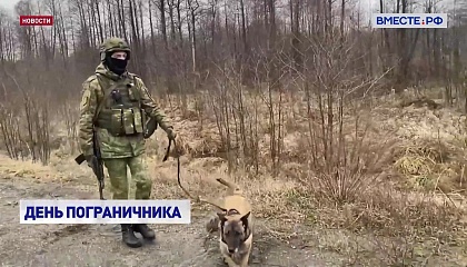 Спикер СФ: пограничники надежно стоят на страже рубежей Родины