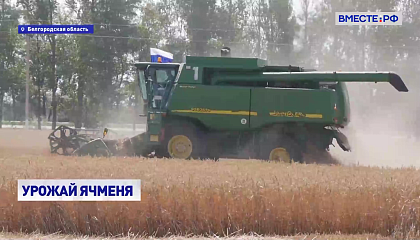 Белгородские аграрии собирают богатый урожай зерновых