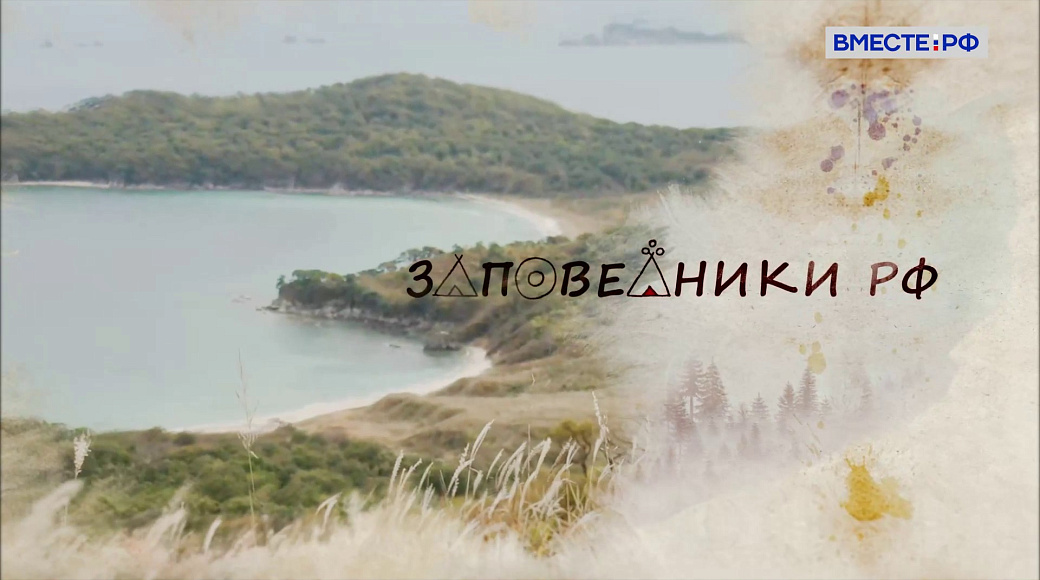 Local video