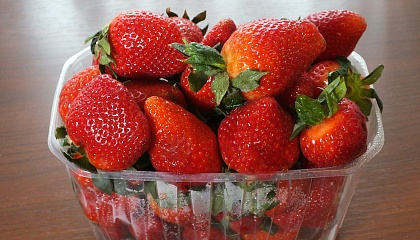 В СФ согласились, что отечественным производителям фруктов и ягод нужна помощь