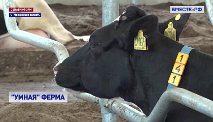 В Домодедово запустили «умную» ферму на 1200 коро