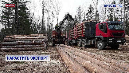 Стратегию развития лесного комплекса обсудили в СФ