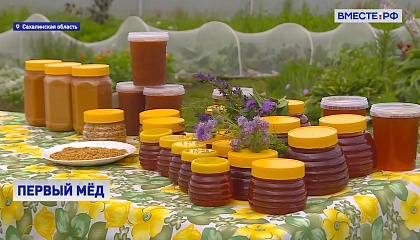 Сахалинские пчеловоды собрали первый мёд