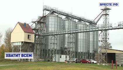 Урожай зерновых в Орловской области побил прошлогодний рекорд