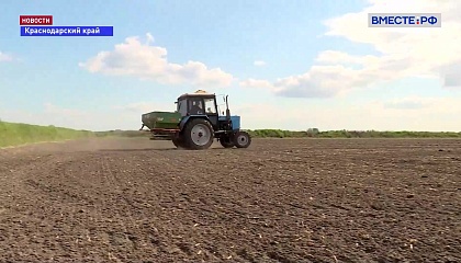 На Кубани сельхозпроизводители завершают сев риса