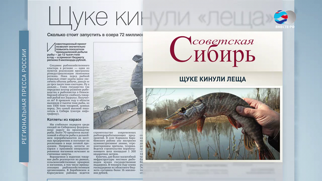 Local video