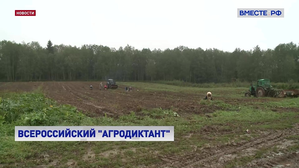 Local video