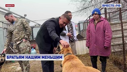 Сенатор Гибатдинов помог с кормами приюту для бездомных животных