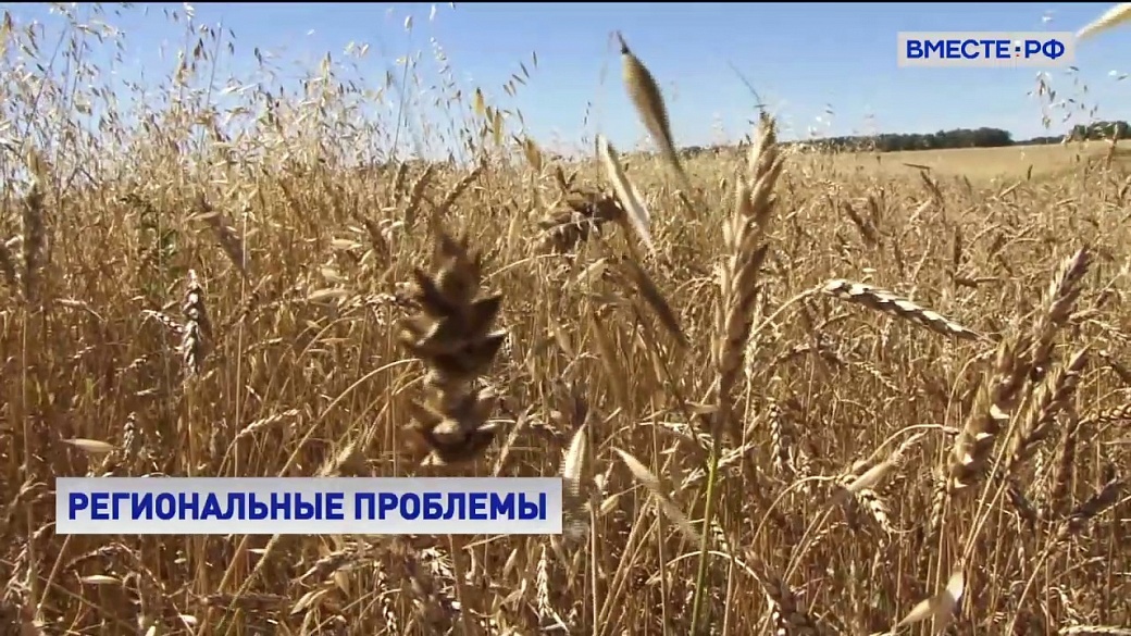 Local video
