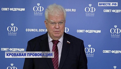 Россия в состоянии противостоять любой провокации, заявил сенатор Чижов