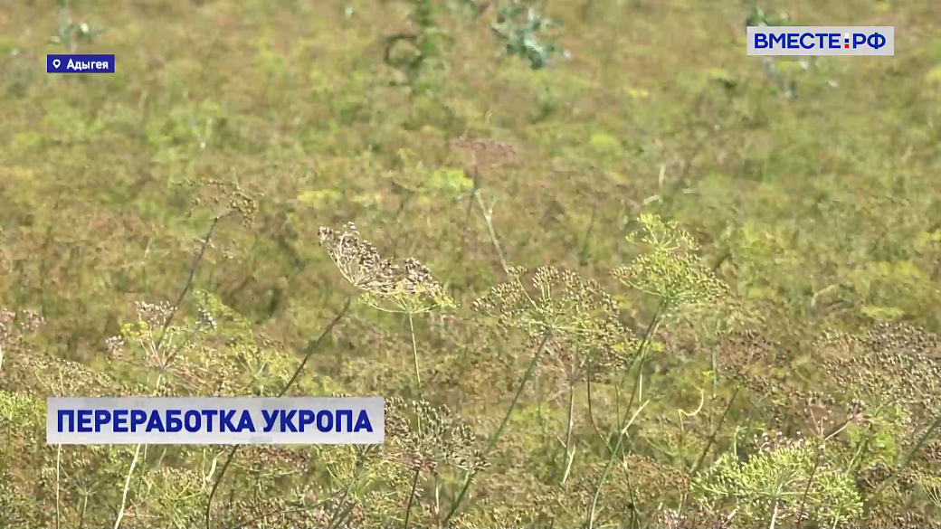 Local video