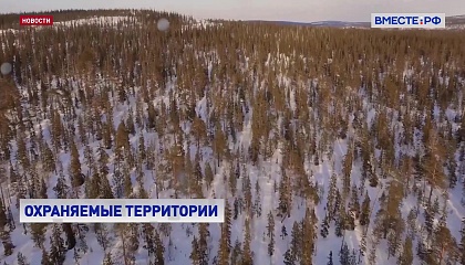 На особо охраняемых природных территориях в особых случаях разрешат капитальное строительство